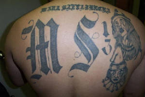 la M S - 13